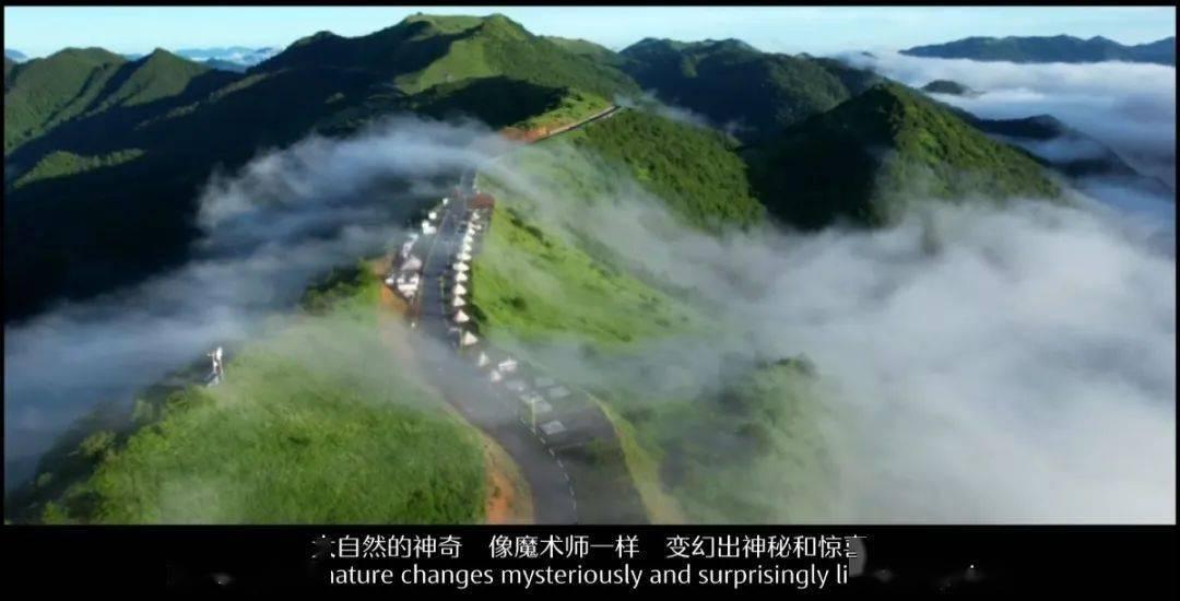和闺蜜武汉旅游有哪些美食打卡攻略?- 专属知识星球平台